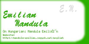 emilian mandula business card
